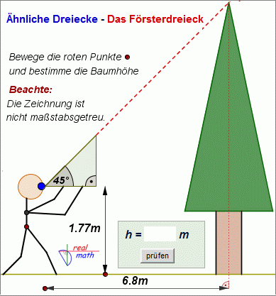 Försterdreieck als Anwendung der Ähnlichkeit